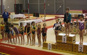 ce Epinal2012 (4).jpg