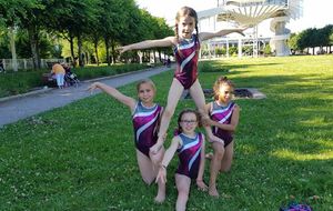 Les poussines devant la tour de la liberté à Saint-Dié