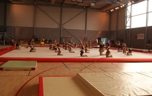 Poussines 1 : Danse africaine