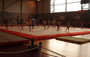 Poussines 2 & 3 + Poussins : Country