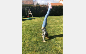 Jeudi 19 mars Louane