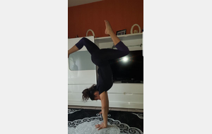 Défi relevé pour Hava!