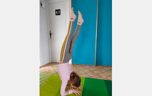 Défi relevé pour Aliénor!