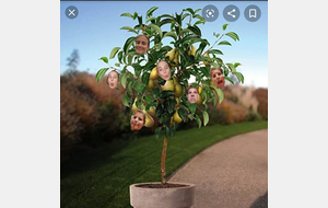 Défi relevé pour Manon et Louison...!