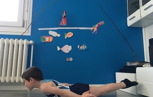 Voici le poisson Elouan!!