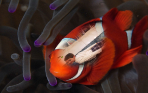 Ethan la poisson clown!