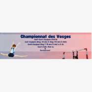 Championnat des Vosges équipes Fédéral B et performance régionale GAF et individuel GAM